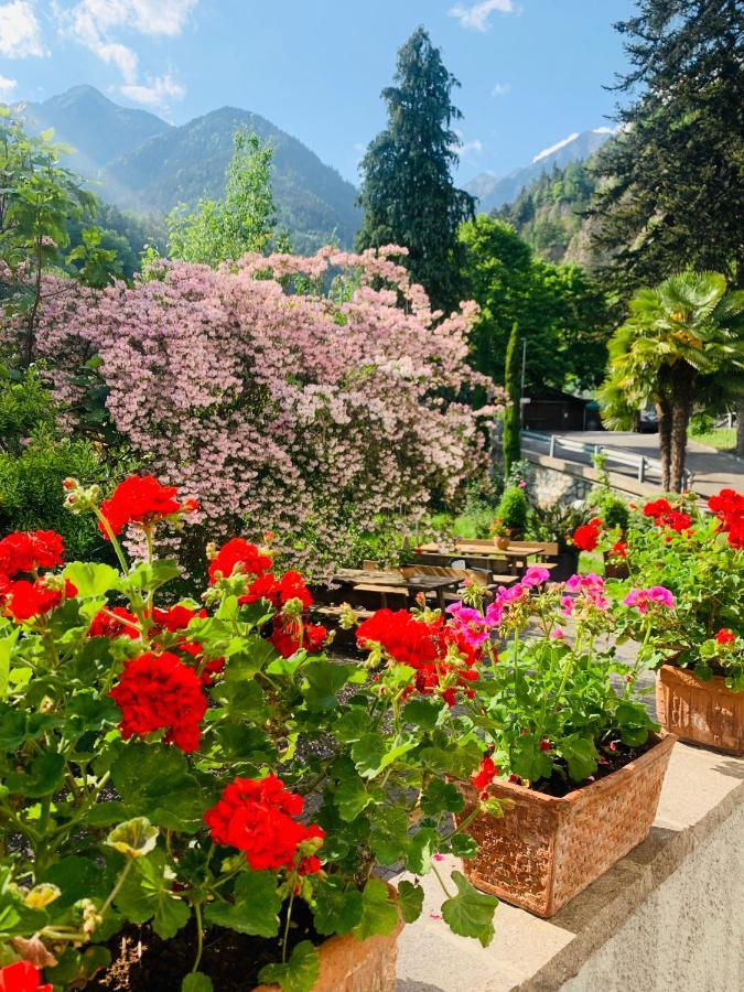 Tannerhof Bed & Breakfast Caines Exterior foto