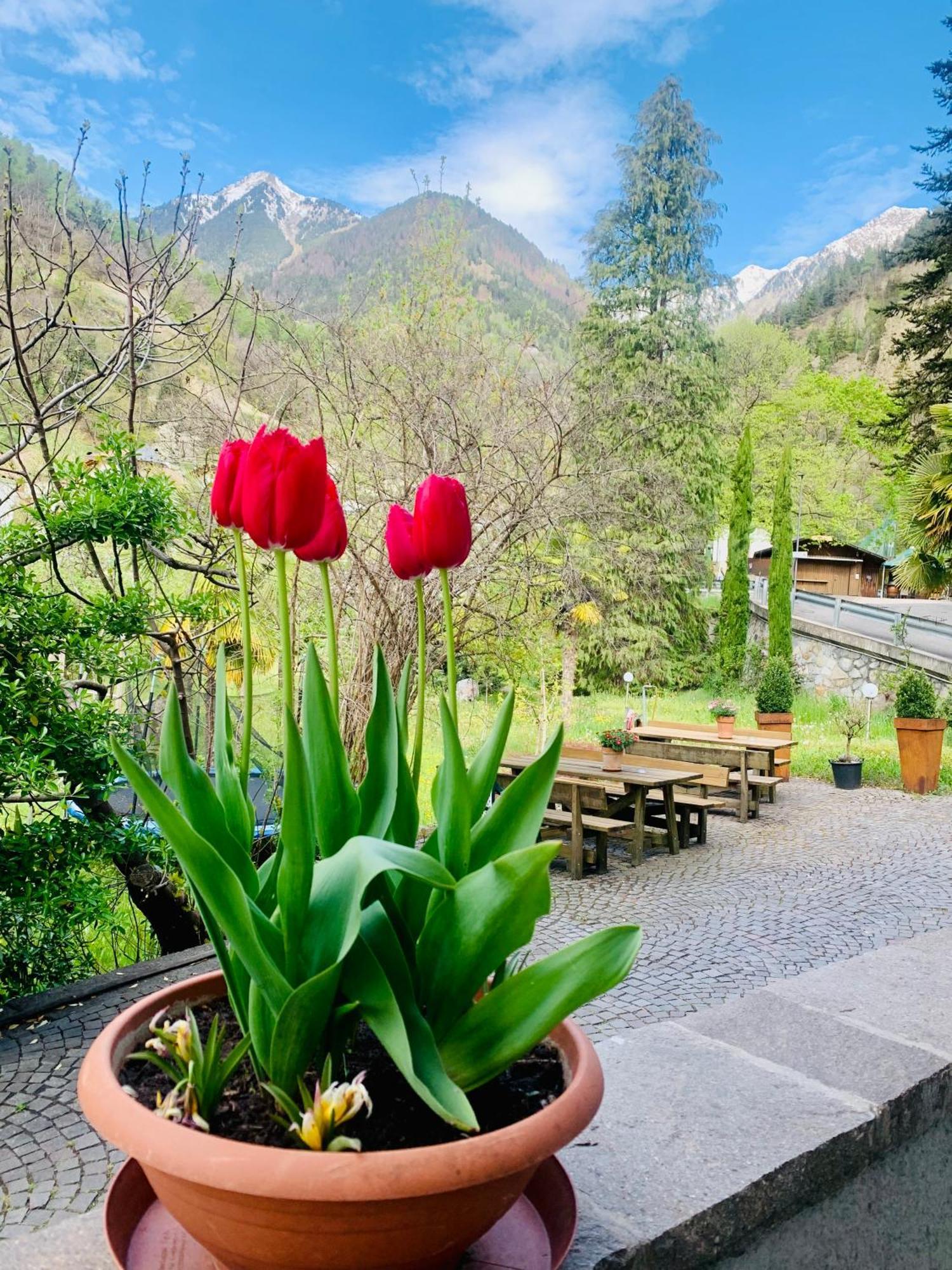 Tannerhof Bed & Breakfast Caines Exterior foto