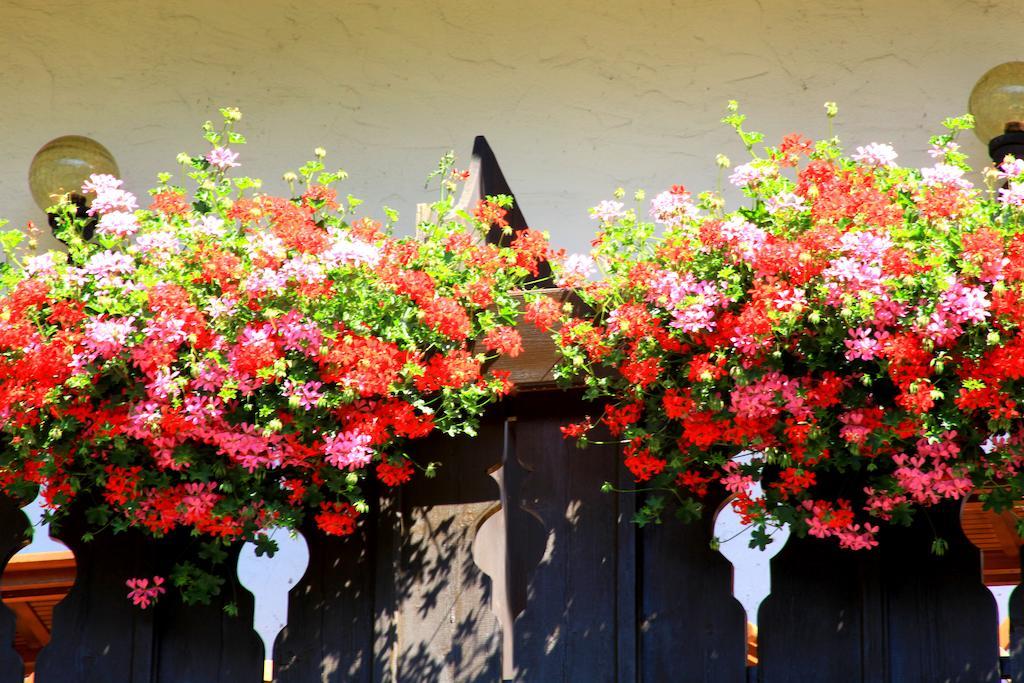 Tannerhof Bed & Breakfast Caines Exterior foto
