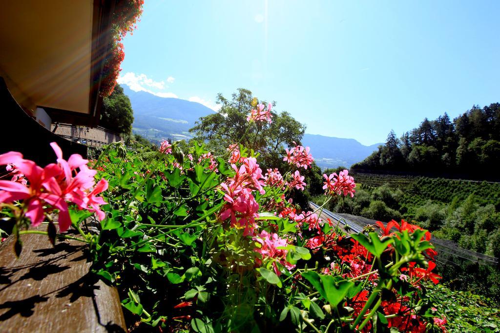 Tannerhof Bed & Breakfast Caines Quarto foto